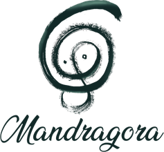 Mandrágora